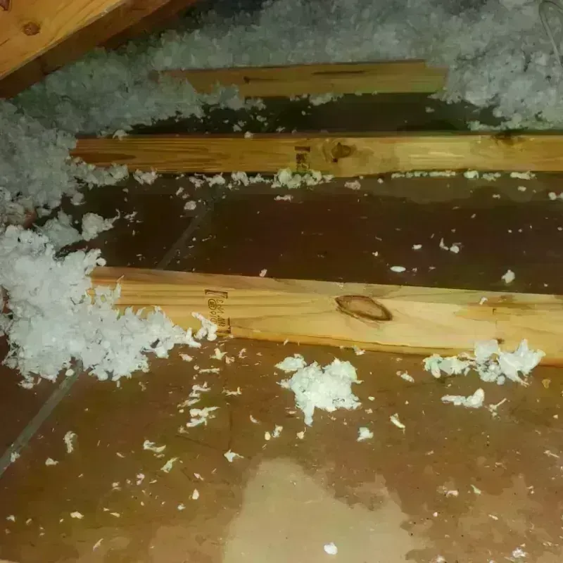 Attic Water Damage in Deaf Smith County, TX